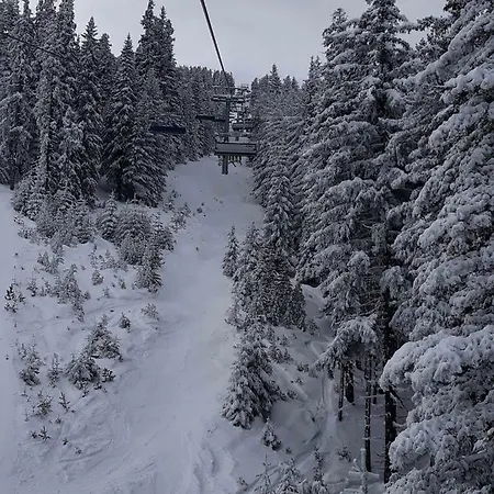 Efo Bansko